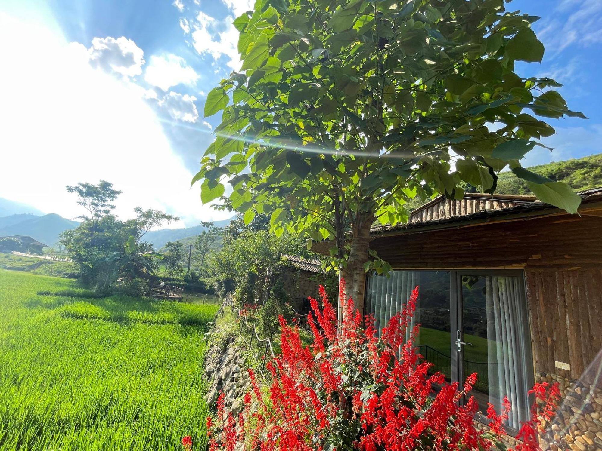 Maison d'hôtes Sapa Bamboo Eco Extérieur photo