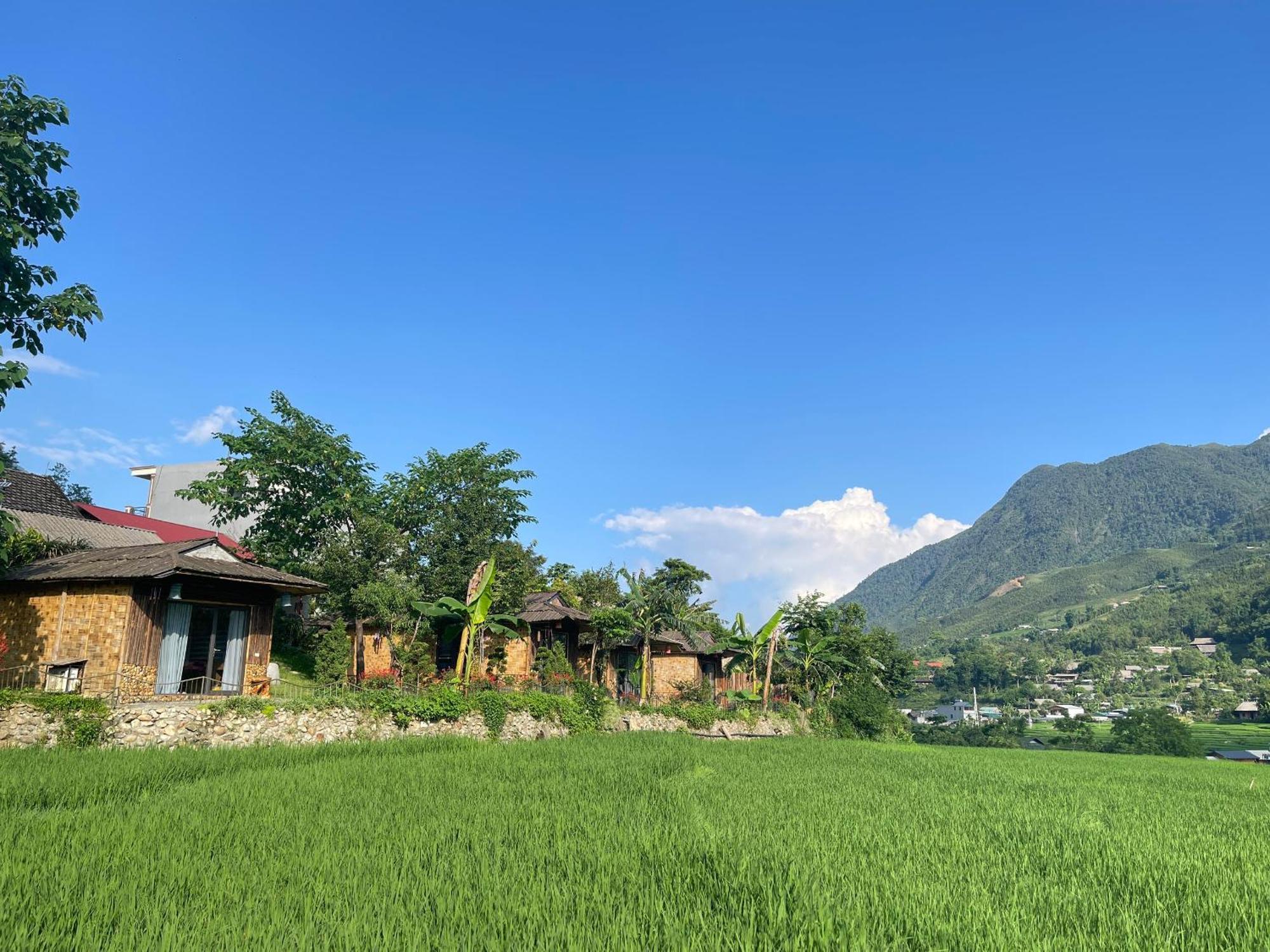 Maison d'hôtes Sapa Bamboo Eco Extérieur photo