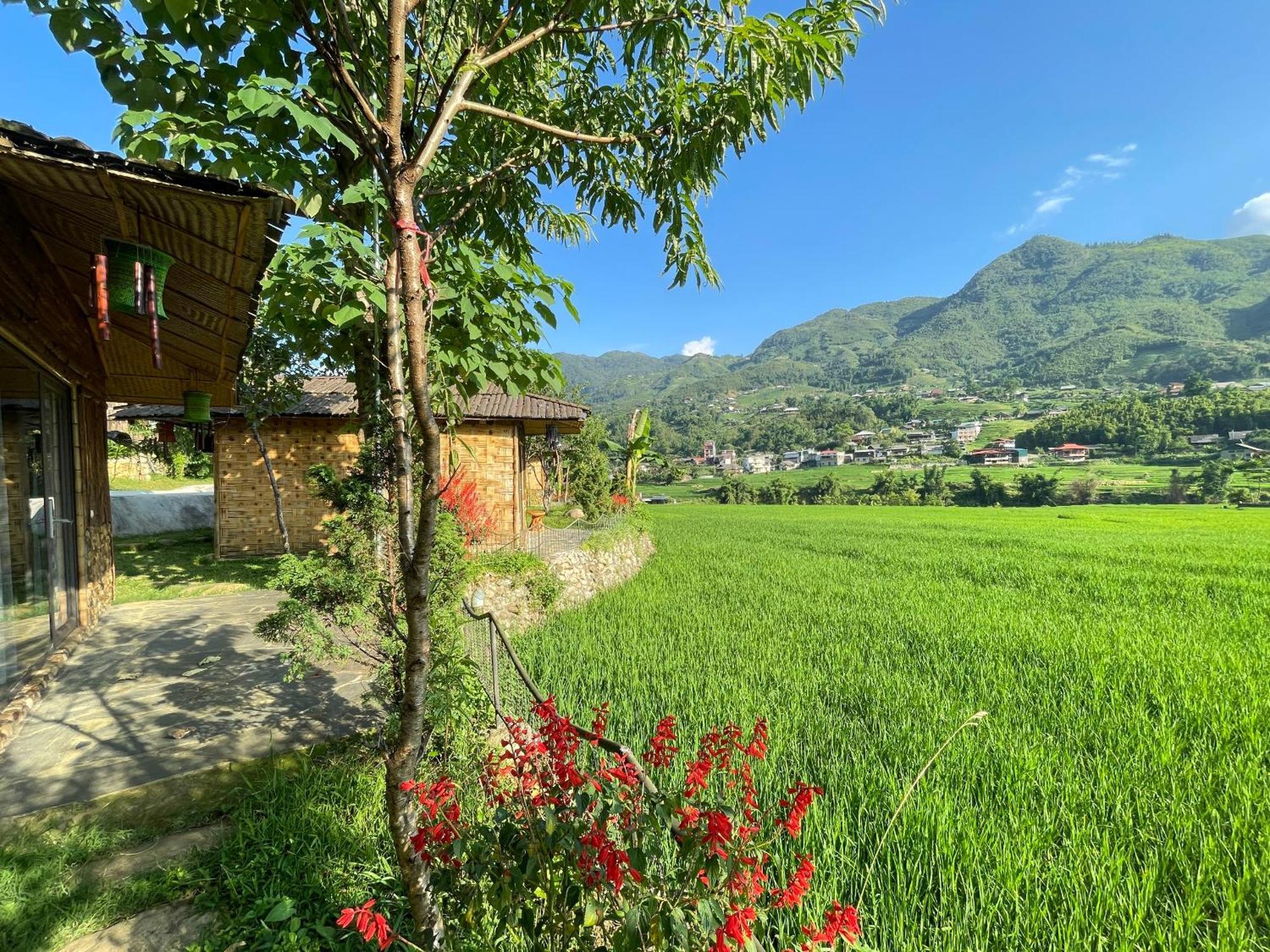 Maison d'hôtes Sapa Bamboo Eco Extérieur photo