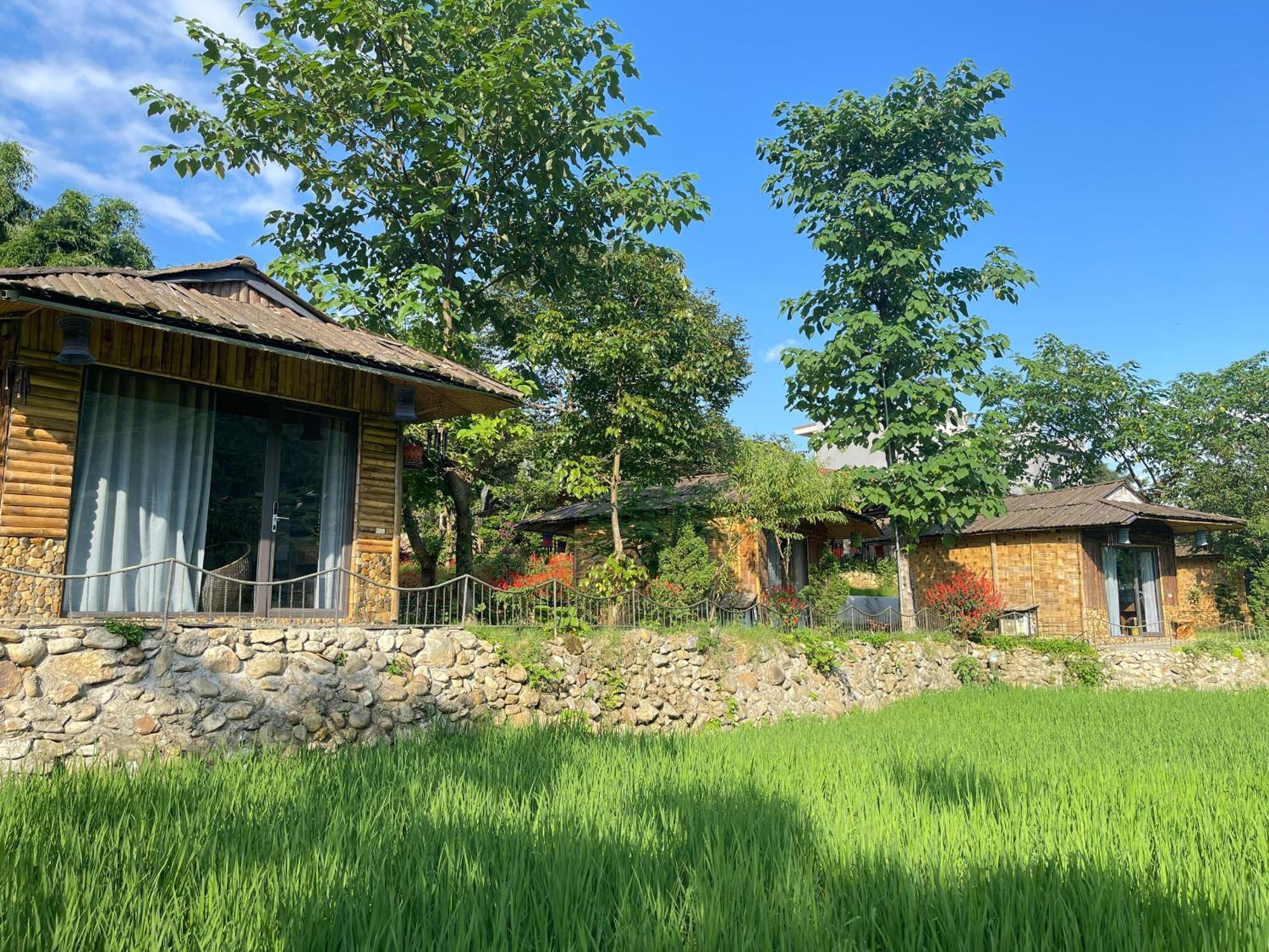 Maison d'hôtes Sapa Bamboo Eco Extérieur photo